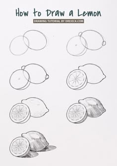 How to Draw a Lemon (easy step by step) 🍋 Draw Beginner Step By Step, Basic Sketches For Beginners, Chiaroscuro Drawing Easy, Basic Of Drawing Step By Step, Basic Art For Beginners, Draw Step By Step For Beginners, Drawing Course Art Lessons, Sketch Beginner Step By Step