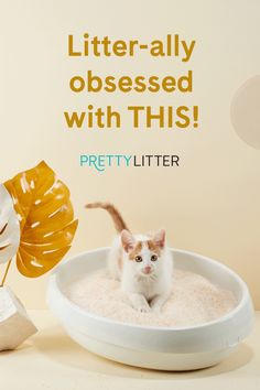 a white cat sitting in a bathtub next to a stuffed animal and an advertisement for pretty litter