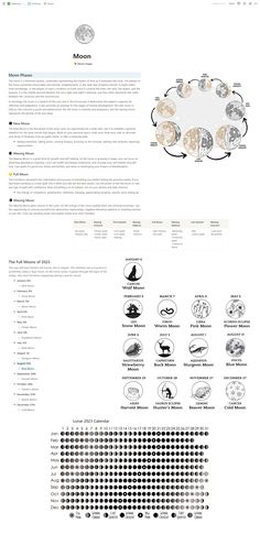 moon magic diyplanner androidplanner #home_page_notion_template #birthdayplanner🦐. Notion Template Ideas Witch, Spiritual Notion Template, Notion Astrology Template, Notion Book Of Shadows, Witchy Notion Template, Digital Grimoire Ideas, Notion Witchcraft, Notion Grimoire Template, Notion Grimoire