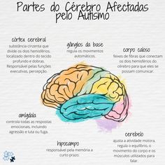 a diagram showing the parts of the human brain in spanish and english, as well as some other words