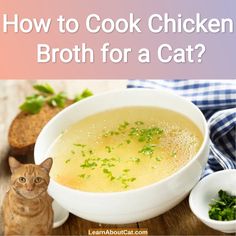 How to Cook Chicken Broth Homemade Cat Food Gravy, Cat Broth Recipe, Soup For Cats Recipes For, Bone Broth For Cats, Homemade Cat Food Toppers, Fresh Cat Food Recipes, Chicken Cat Food Recipe, Cat Food Gravy Recipe, Soup For Cats