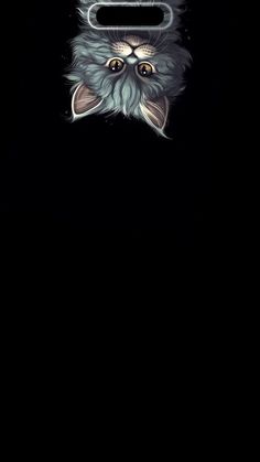 a black background with an image of a cat's face in the middle of it