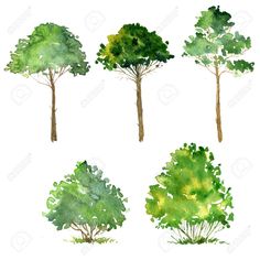 four different trees painted in watercolor on white paper