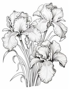 some flowers are in black and white ink