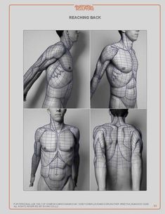 four different views of the torso and chest, each with an individual's body