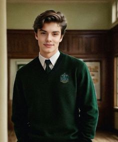 a young man wearing a green sweater and tie