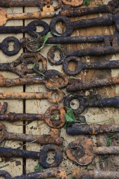 old rusty keys are laying on top of the wooden planks that have vines growing out of them