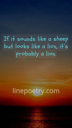 the sun is setting over the ocean with a quote on it that reads if it sounds like a sheep but looks like a lion, it's probably a lion