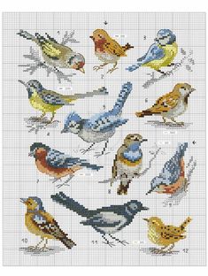 the cross stitch pattern shows different kinds of birds in various colors and sizes, all on white