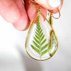 Ferns are just the best. So simple and so beautiful. These large fern teardrop earrings are simple, yet eye catching- and perfect for everyday wear.These are extremely lightweight, and are perfect for you nature lovers. We've carefully preserved these ferns in high quality plant based  resin so that they will never wilt or fade.The frame on these are approx 47x30mmThe frame is high quality gold or silver  plated brass and the fish hooks are safe for sensitive ears.All of our jewelry is nickel fr Botanical Drop Earrings With Birth Flower, Botanical Birth Flower Drop Earrings, Botanical Dangle Matching Earrings Jewelry, Nature-inspired Teardrop Birth Flower Earrings, Botanical Style Jewelry With Matching Dangle Earrings, Hypoallergenic Leaf-shaped Nature-inspired Jewelry, Nature-inspired Hypoallergenic Teardrop Jewelry, Nature-inspired Teardrop Earrings With Pressed Flowers, Nature-inspired Drop Earrings With Natural Inclusions