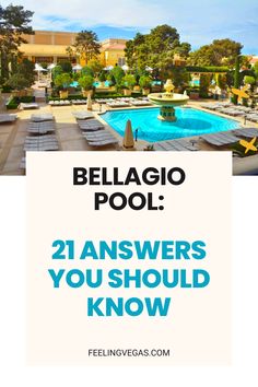 an outdoor swimming pool with lounge chairs and trees in the background text reads, belagio pool 21 answers you should know