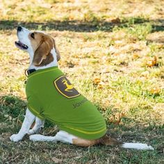 a dog wearing a green shirt sitting in the grass