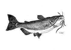 a drawing of a fish with its mouth open