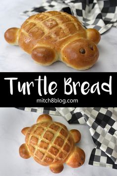 a close up of bread in the shape of a turtle on top of a black and white checkered table cloth