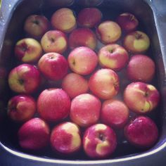 red apples are in a blue bowl with water