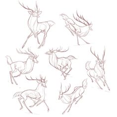 sketches of deers running and jumping in the air with their antlers spread out