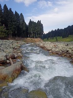 a river running through a forest filled with lots of rocks and water surrounded by trees