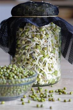 sprouts in a glass jar next to a bowl full of sprouts