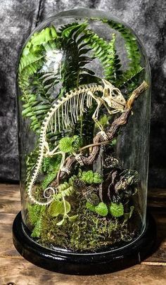 a glass dome filled with plants and a skeleton in the middle on a wooden table