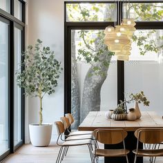 a dining room table with chairs and a potted tree