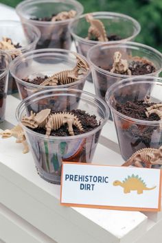 plastic cups filled with dirt and toy dinosaurs on top of a white table topped with plants