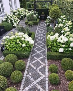 a garden with white flowers and green bushes