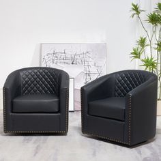 two black leather chairs sitting next to each other on a carpeted floor in front of a plant