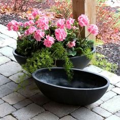 two large black pots with pink flowers in them