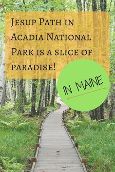 a wooden walkway in the woods with text overlaying jesus path in acadia national park is a slice of paradise