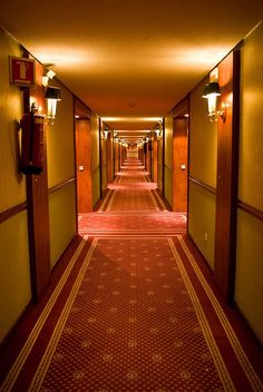 a long hallway with red carpeting and lights on either side of the corridor is lit by two wall sconces