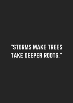 a black and white photo with the words, storms make trees take deeper roots