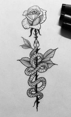 a drawing of a snake and rose on paper