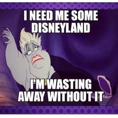 I NEED ME SOME DISNEYLAND....I'M WASTING AWAY WITHOUT IT Disneyland Trip, Disney Park, Disney Theme Parks, Disney Memes, Happiest Place On Earth