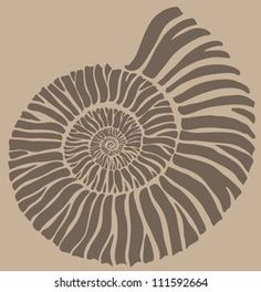 an illustration of a shell on a beige background