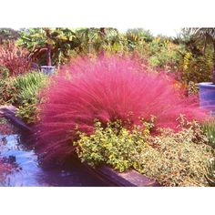 a garden filled with lots of colorful flowers and plants next to a pond in the middle of it