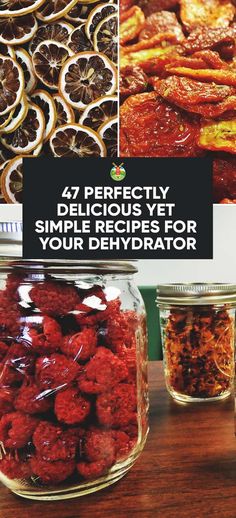 several jars filled with different types of food and the words 47 perfectly delicious yet simple recipes for your dehydraator