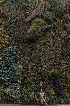 a person walking past a wall covered in plants