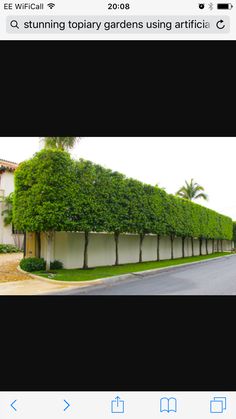 an image of a long row of hedges on the side of a road in front of a house