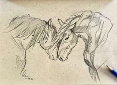 a pencil drawing of two horses touching each other's foreheads on a piece of paper