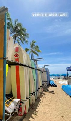 several surfboards are lined up on the beach next to each other, with palm trees in the background