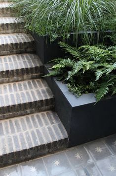 a planter filled with lots of green plants next to some steps