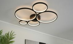 a ceiling light with four circular lights on it's side and a potted plant in the middle