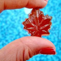 a hand holding a piece of glass in front of a blue background with an orange leaf