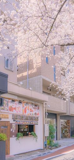 a building with lots of windows and flowers on the trees in front of it,