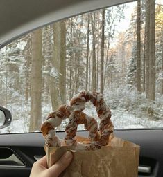 a person holding a paper bag with doughnuts on it in the back seat of a car