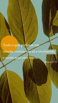 leaves with the words tudo o que pedraem em oracao cream de la recebram, e asim sera com veces