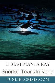 the best manana ray snorkel tours in kona