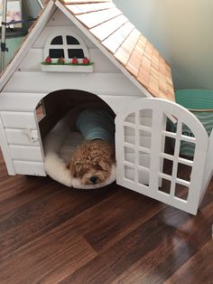 a dog is laying down in his pet house