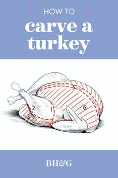 how to carve a turkey on the cover of a book by b h g