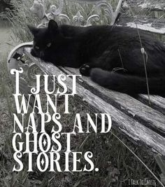 a black cat laying on top of a wooden bench next to a quote that says, just want naps and ghost stories